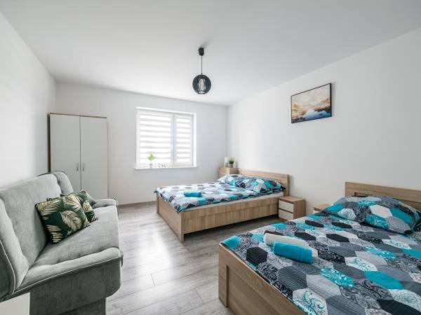 Apartment Nova Zator